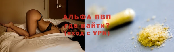 спайс Верея