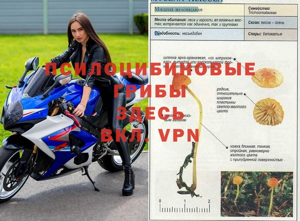 спиды Верхнеуральск