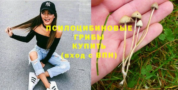 прущая мука Верхний Тагил