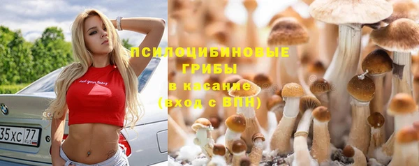 спайс Верея