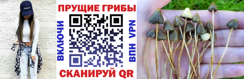 что такое   ссылка на мегу маркетплейс  Псилоцибиновые грибы мухоморы  Щучье 